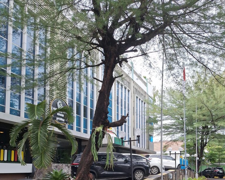 Sewa Ruang Kantor Cikini Jakarta Pusat