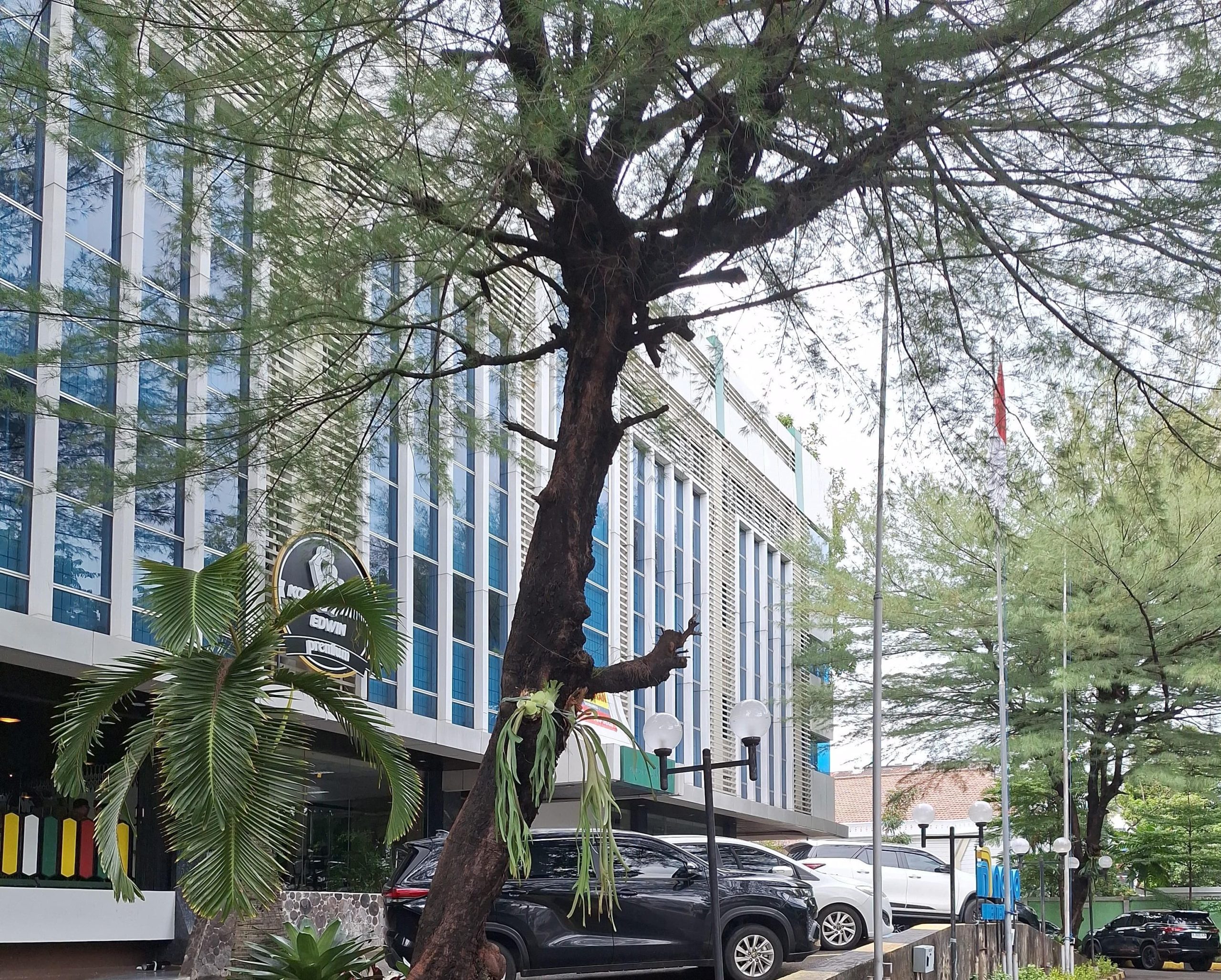 Sewa Ruang Kantor Cikini Jakarta Pusat Terbaik 2025 Dekat Stasiun KRL Comuterline Cikini 1 Sewa Ruang Kantor Cikini Jakarta Pusat